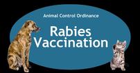 Underwrite a rabies vaccination for a shelter animal 202//106